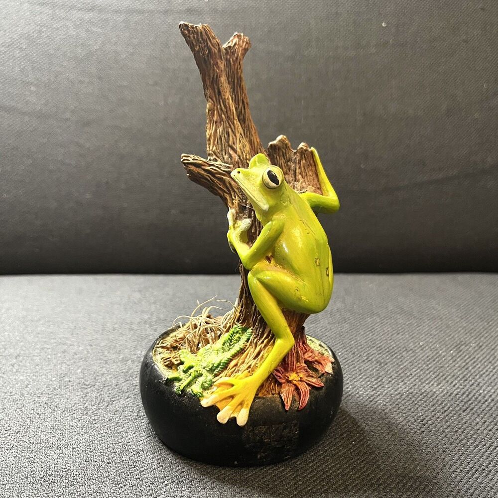 Tillandsia Nature Bowl Frog Air Plant Figurine Planter